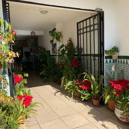 Hawaii 17 * Nerja